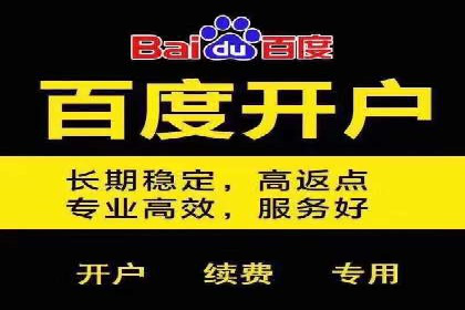 SEM竞价优化案例：品牌曝光与转化双提升